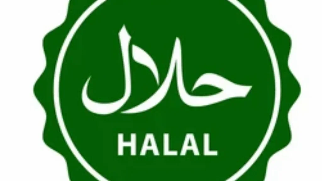 Is SEO Halal