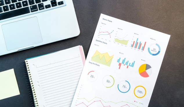 Google My Business Management