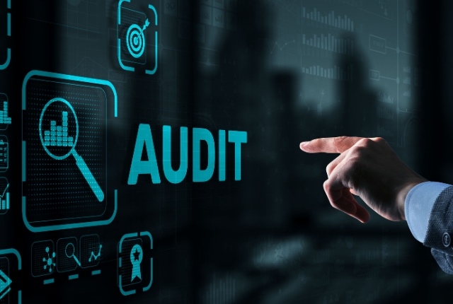 SEO Audits & In-Depth Analysis