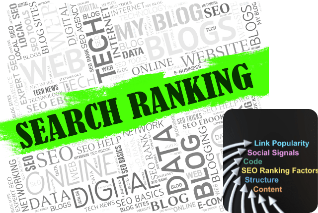 White Label SEO Services Agency