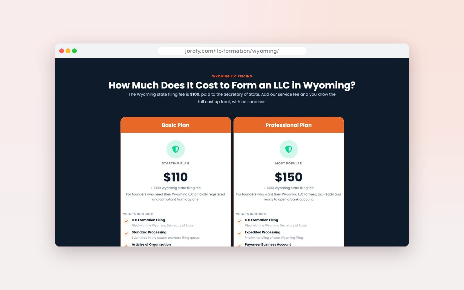 Jorofy Wyoming LLC pricing section with Basic and Professional plans, built and live