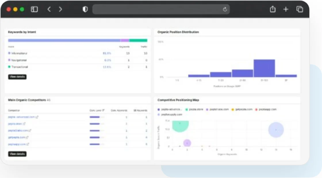 Local SEO report showing keywords by intent, ranking distribution and competitor positioning