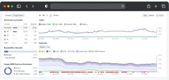 SEO audit report showing traffic by country, branded versus non-branded keywords and SERP position distribution